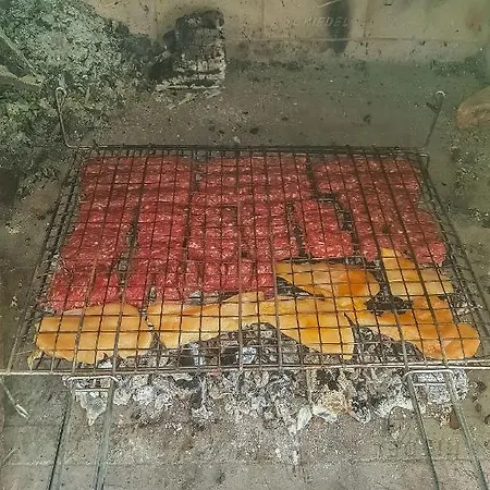 Gaya